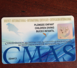 Cmas-icard