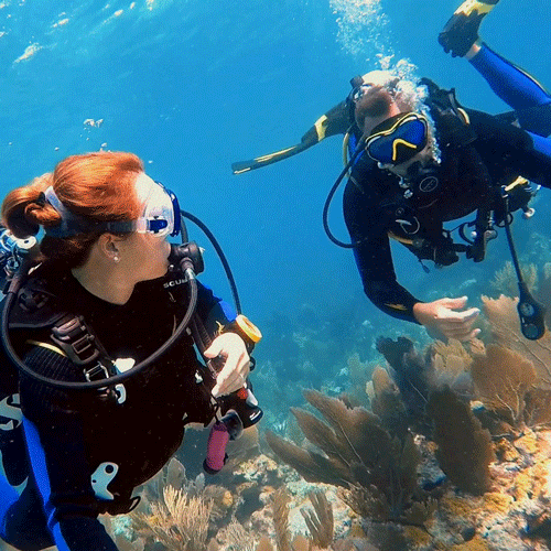 Certified diver exploring Seychelles underwater reefs with Equinoxe Diving School, Mahé